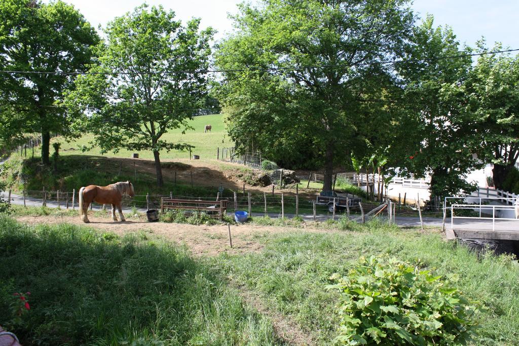 Location Eyheraldia - Votre T3 Au Coeur Du Pays Basque アスパレン 部屋 写真